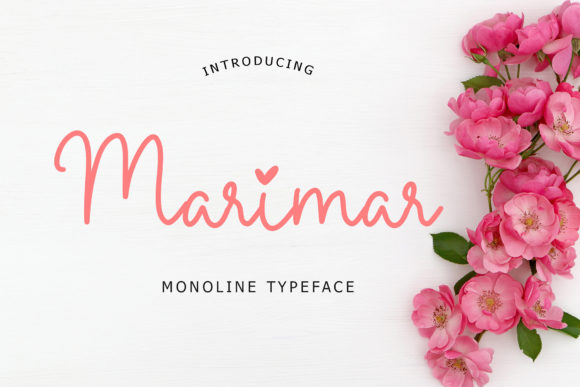 Marimar: A Playful Monoline Typeface for Modern Web Design